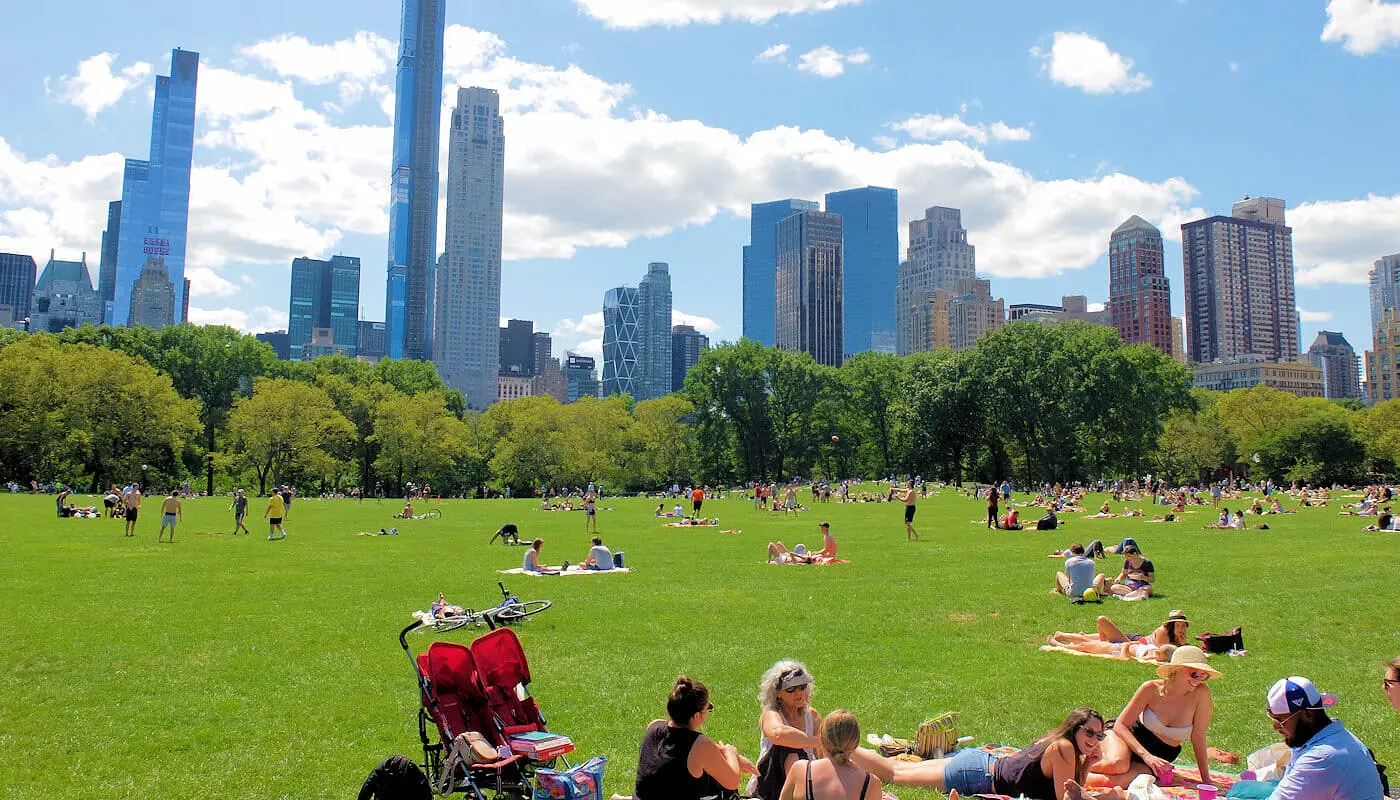 Central Park Sheep Meadow