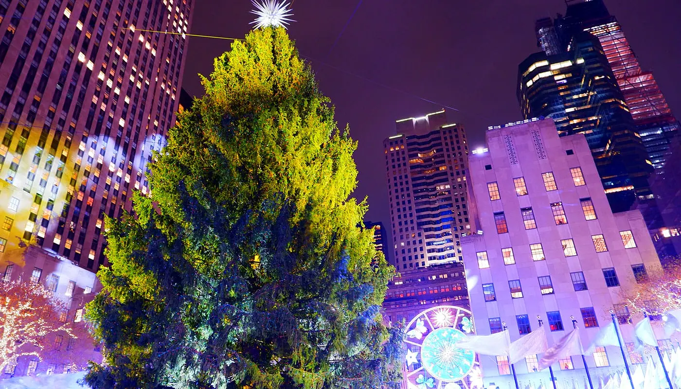 록펠러 크리스마스 트리 도착