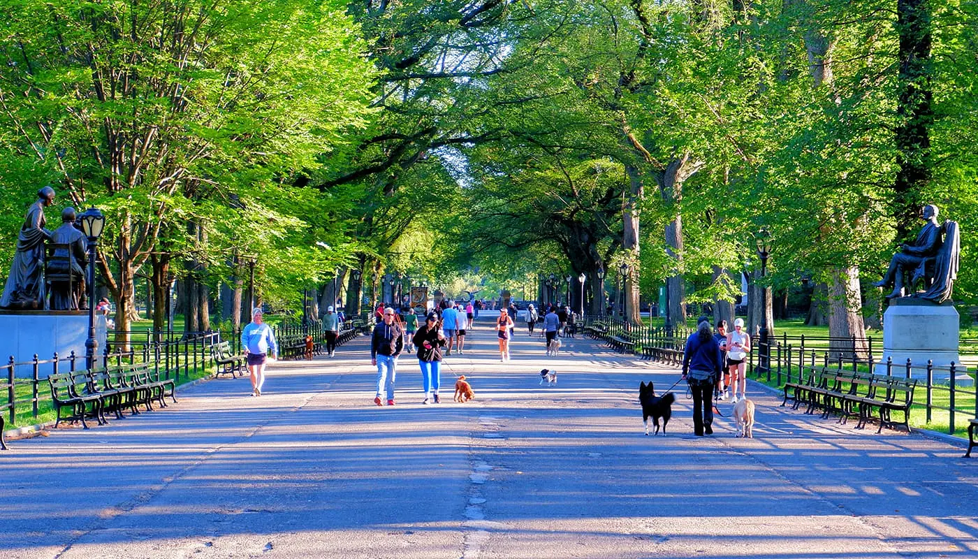 New Yorkers People living in New York