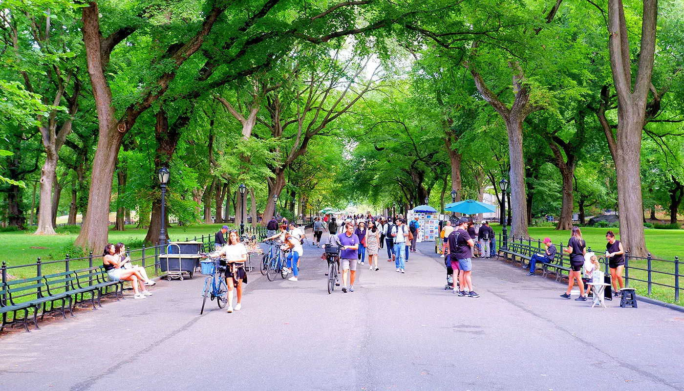 New York 4 day Itinerary Explore Central Park by bike or foot